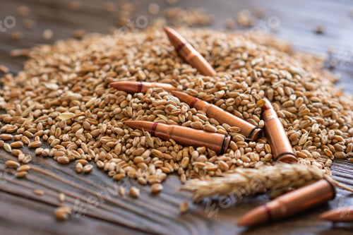 Preview: Scattered Wheat Grains and Bullet Shells on a Wooden Surface