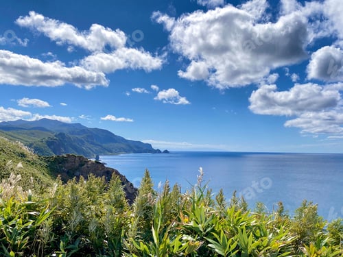 Preview: Scenic coastal landscape with lush greenery.