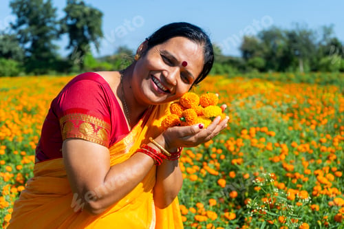 Preview: Indian woman collect marigold flower in beautiful garden.