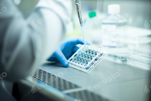 Preview: Chemist wearing protective gloves conducting a scientific experiment in a laboratory
