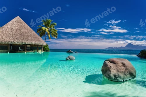 Aperçu: Infinity pool with palm tree rocks, Tahiti, French Polynesia