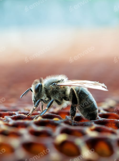 Preview: working bee