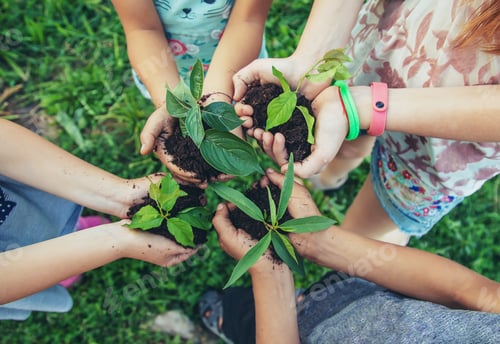 Preview: children plant plants together in their hands. Selective focus.