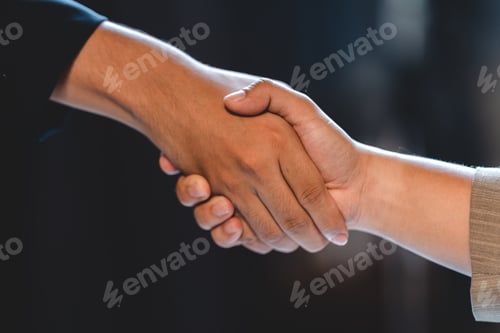 Preview: business success and partnership handshake concept, professional businessman person