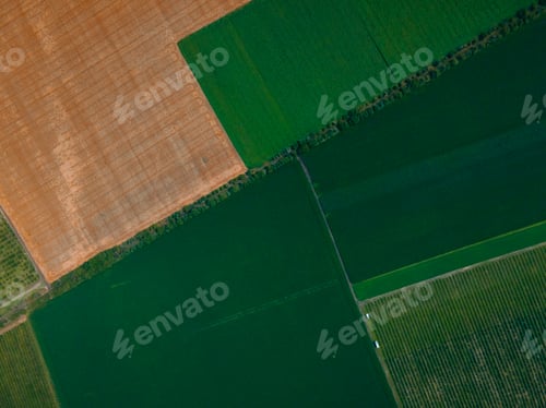 Preview: Top view aerial view of agricultural fields.