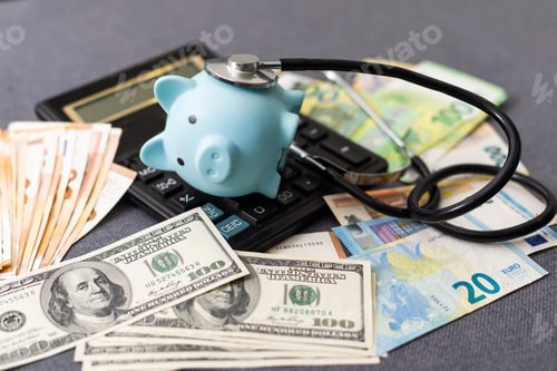 Preview: Piggi bank and euro banknotes.