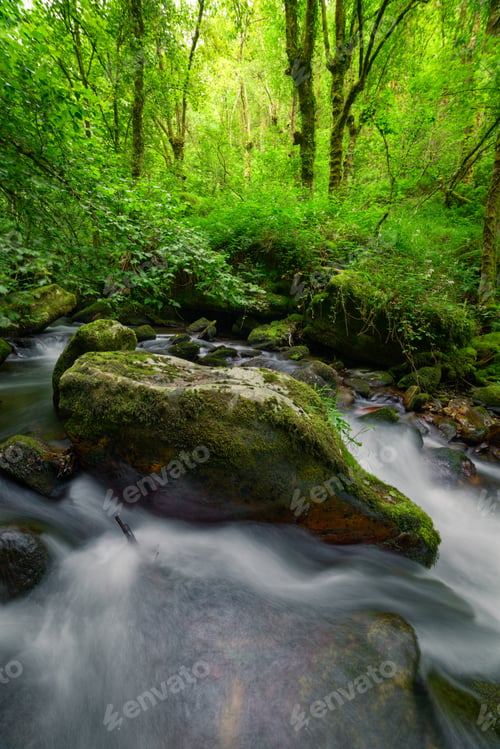 Preview: A large orange quartz boulder in the middle of a stream in the forests