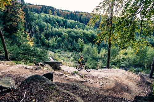 Preview: Mountain biker riding cycling in autumn forest