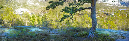 Preview: Norway photos - Nordland