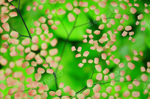 Preview: fresh plants background