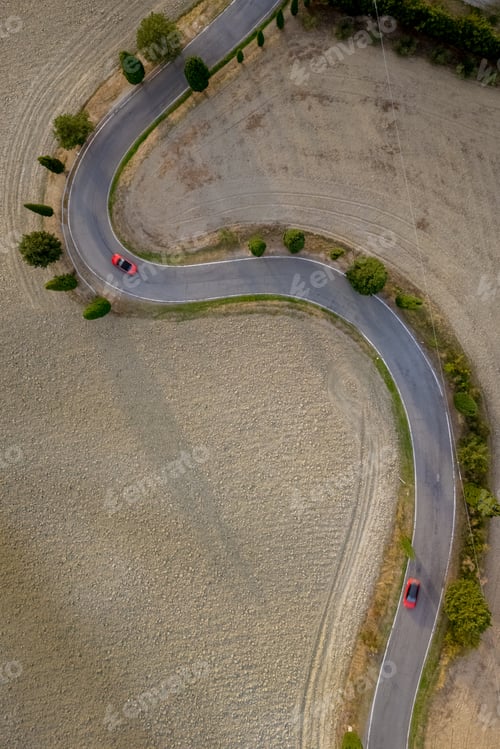 Preview: Winding roads through the golden fields of Tuscany showcasing rural beauty and serene landscapes