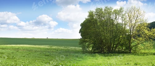 Preview: Springtime in the countryside