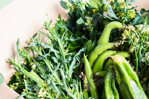 Preview: Organic green vegetables delivery concept