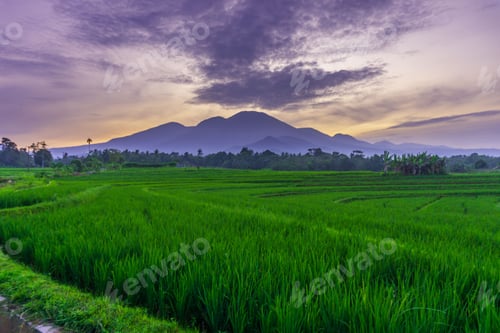 Preview: Beautiful morning view indonesia, Panorama Landscape paddy fields with beauty color and sky natural