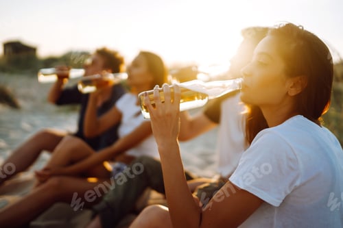Preview: Young people sitting together at beach, drinking beer. Group of friends cheers with beers at beach.