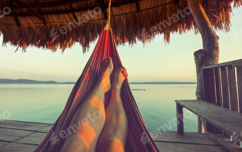 Preview: Hammock