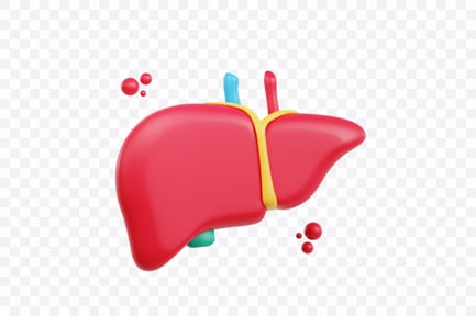 Preview: Healthy Human Liver