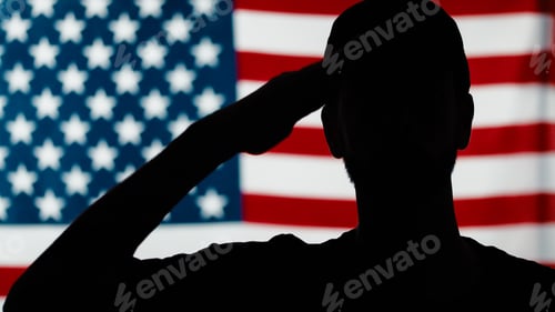 Preview: silhouette of soldier saluting close up