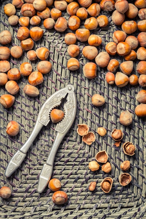 Preview: Hazelnuts in old wicker basket