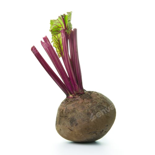 Studio shot of a whole beet root
