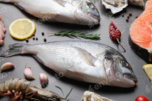 Preview: Fresh raw dorado fish, salmon and oyster on grey table, closeup