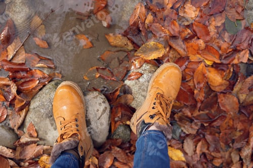 Preview: female feet on stones fallen autumn leaves top view