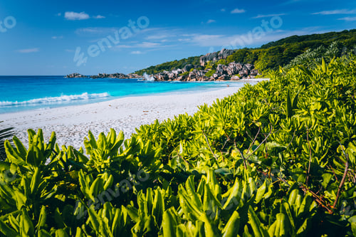 Preview: Eden Picturesque Grand Anse, La Digue island, Seychelles. Lush green vegetation frame white sand
