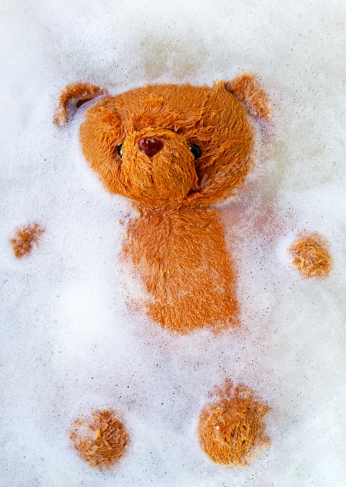 Preview: Washing bear dall, Brown bear dall soaked.
