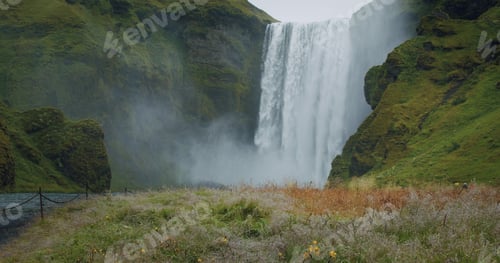 Preview: Epic Skogafoss waterfall with foliage in foreground, Iceland