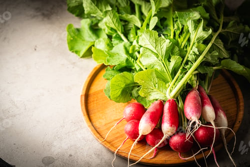 Preview: Fresh radish lies
