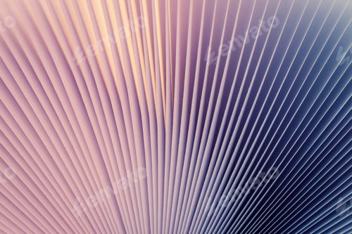 Preview: Macro view of book pages, as a background,