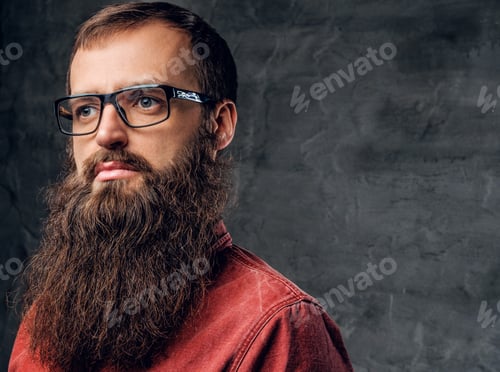 Preview: A bearded male in eyeglasses dressed in a red shirt.