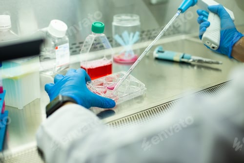 Preview: cell culture at the cell culture laboratory