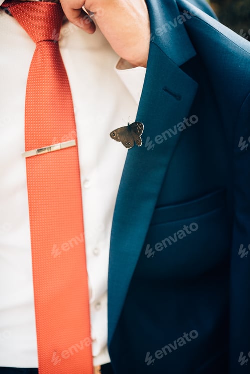 Preview: Details of the wedding day