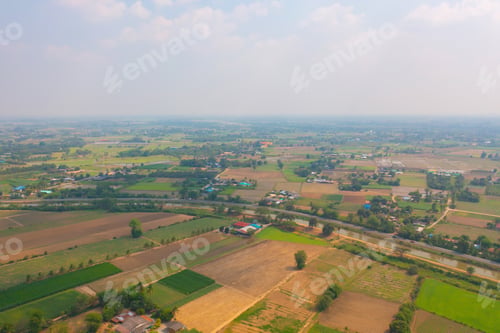 Preview: Fresh paddy rice, green agricultural field in countryside or rural area in Asia. Nature landscape.