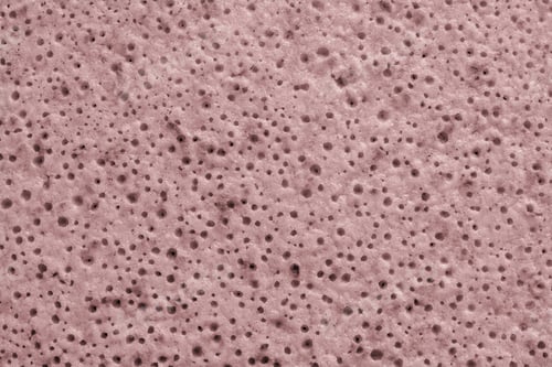 Preview: Abstract Spotty And Porous Organic Texture Closeup For A Background Or For Wallpaper Of Pale Lilac