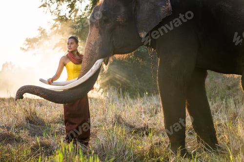 Preview: Elephant and woman in Thailand