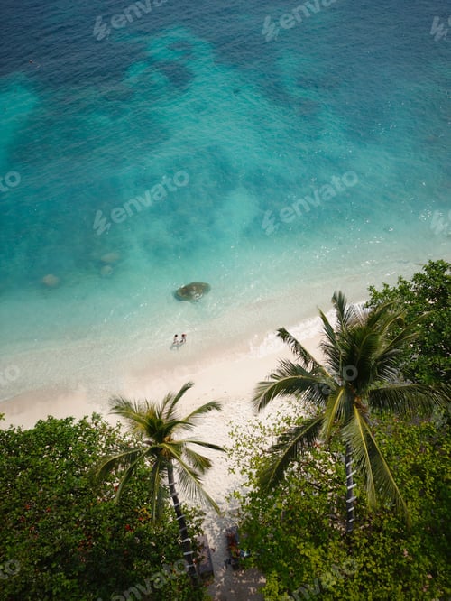Preview: Stunning landscape featuring a breathtaking view of a beach with crystal clear waters and palm trees