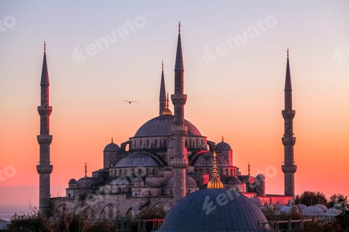 Preview: Flying seagull over sultan ahmed mosque
