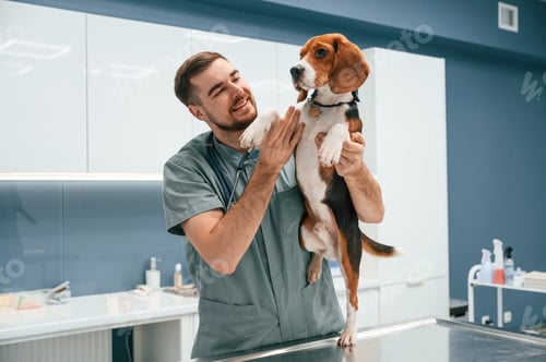 Preview: Positive man is holding animal. Dog in veterinarian clinic with male doctor
