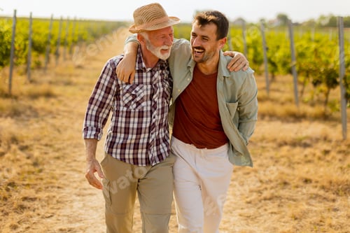Preview: Two men stroll through a sunlit vineyard, sharing laughter and stories on a warm afternoon