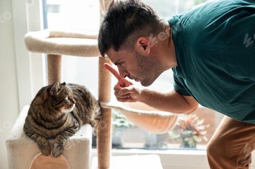 Preview: Man scolding tabby cat with pointing finger at home