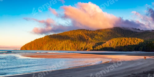 Preview: Canadian Nature Landscape on the West Coast of Pacific Ocean. Sandy Beach. Background Panorama.