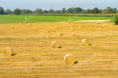 Preview: Summer landscape along the cycle path of the Po river, italy