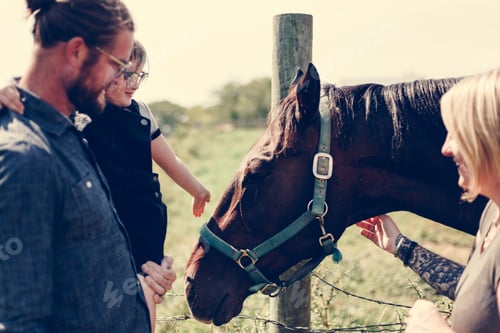 Preview: Young girl and family with a horse in the farm