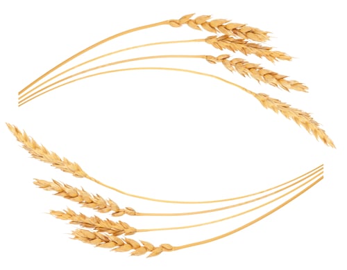 Preview: Ears of wheat. Frame