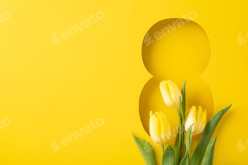 Preview: Yellow tulips are placed against a vibrant yellow backdrop featuring a cutout of the number eight