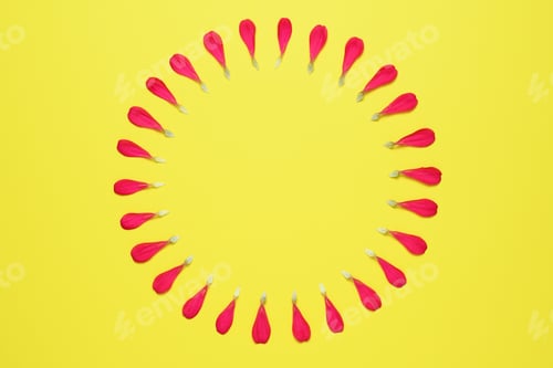 Preview: Circle of red floral petals on yellow background