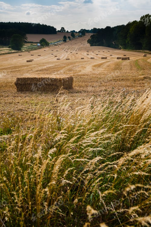 Preview: Blockley, The Cotswolds, Gloucestershire, England, United Kingdom