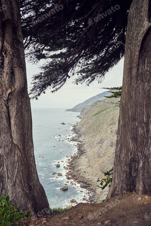 Preview: View of misty coast between redwoods, Big Sur, California, USA